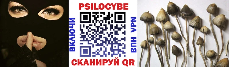 купить наркотик Верхоянск Псилоцибиновые грибы MAGIC MUSHROOMS
